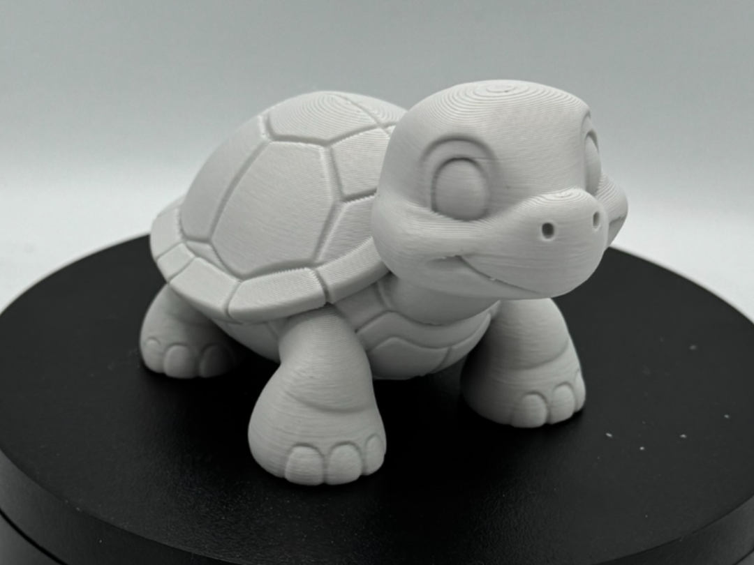 Cute Adorable Baby Turtle 