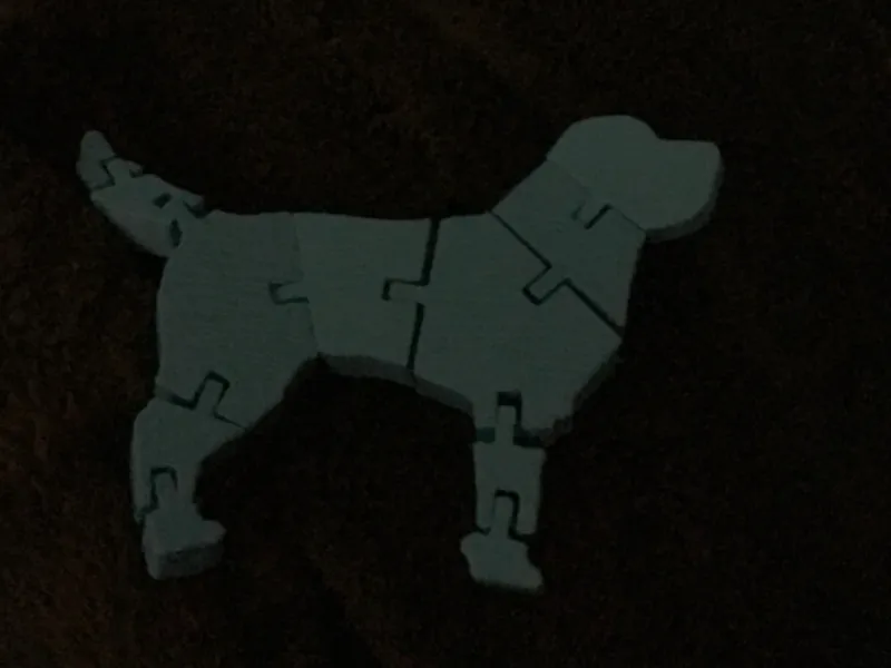 flexi dog