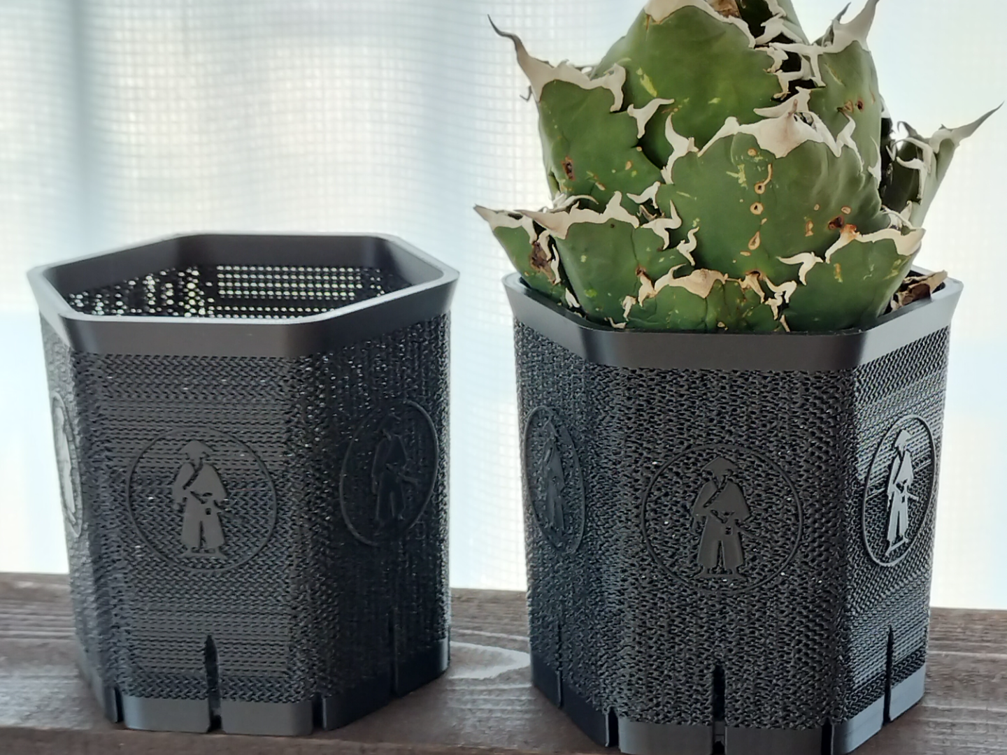 Agave Plant Vase z057 六角 hexa 4号 mesh