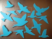 Oiseaux — photo 1