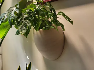 Wall Planter