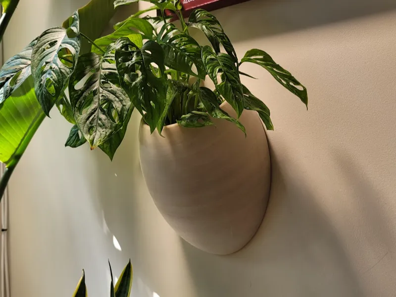 Wall Planter