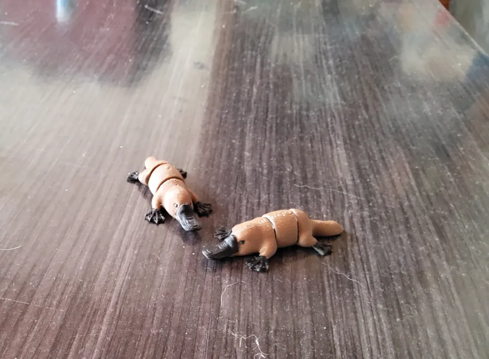 mini flexi platypus - Free 3D Print Model - MakerWorld