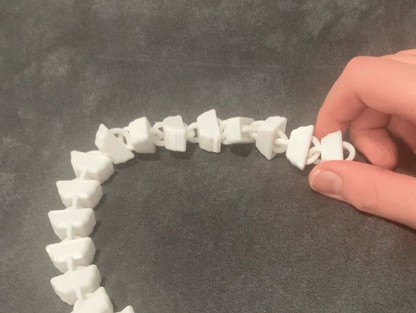 FLEXI CHAIN/SEGMENT