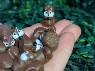 Cute Tiny Chipmunkkk