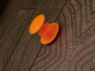Croc Clip