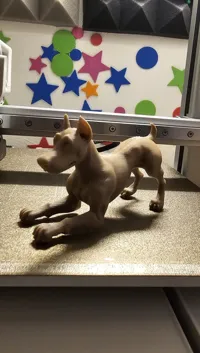 Sculpture réaliste de Doberman — photo 3