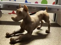 Sculpture réaliste de Doberman — photo 2