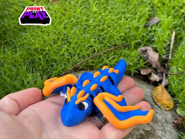 https://makerworld.bblmw.com/makerworld/model/US7d64607c7c0a43/design/2025-07-03_60af0c8653d38.jpg