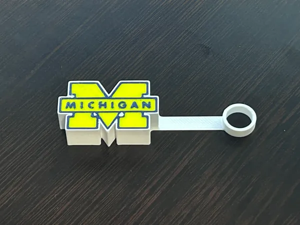 https://makerworld.bblmw.com/makerworld/model/US7d657a27459039/design/2024-12-31_4cad4c374da6b.jpg