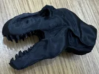 Tête de T-Rex détaillée — photo 2
