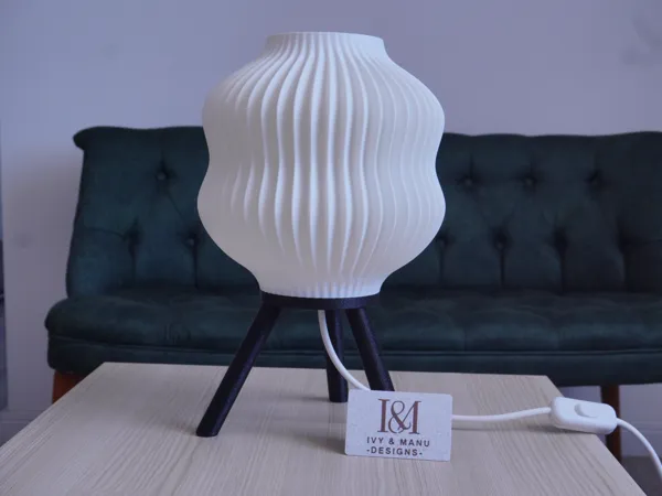 https://makerworld.bblmw.com/makerworld/model/US7d6e56d8711ce8/design/2025-02-09_55c02f2448cae.jpg
