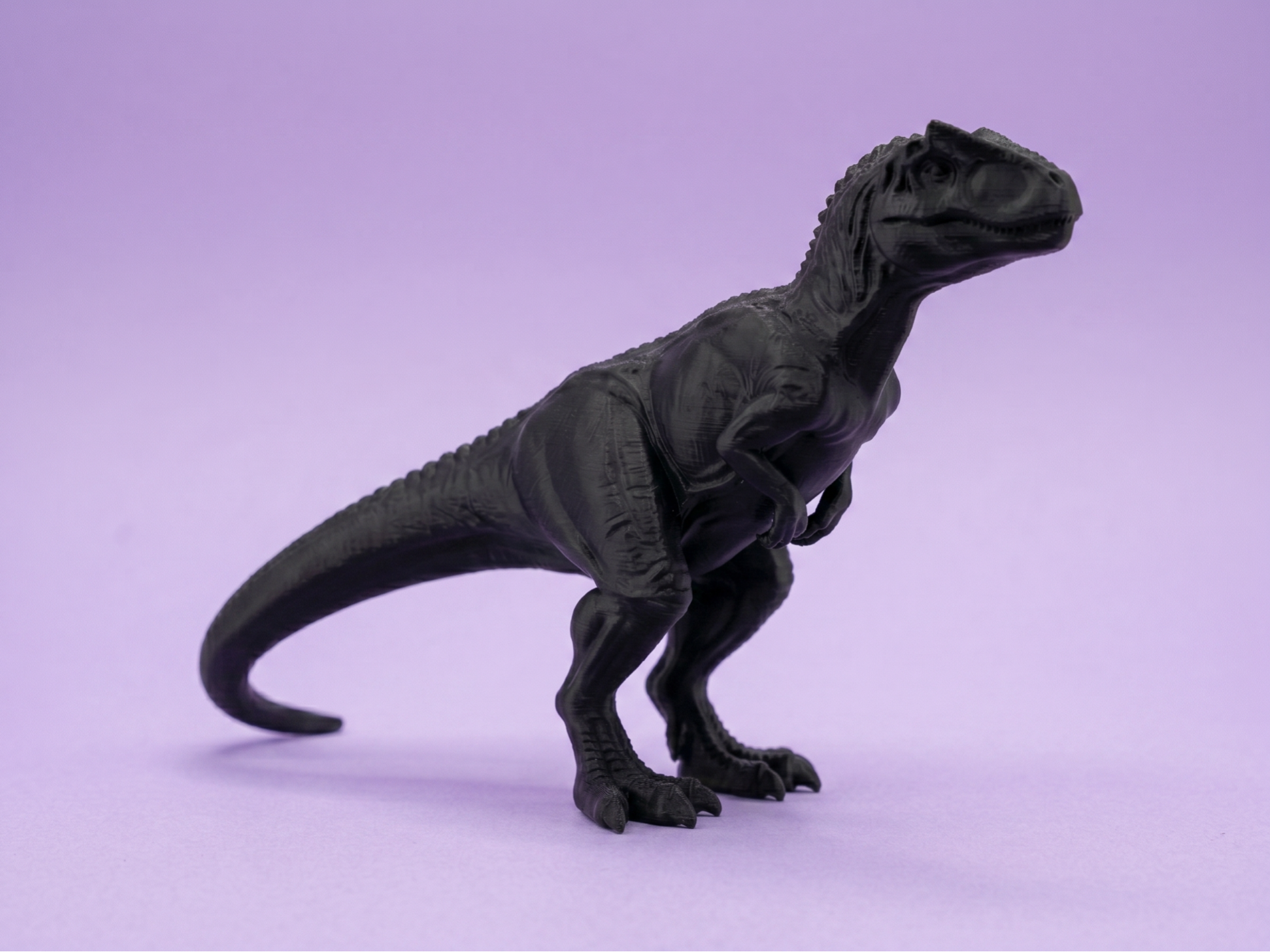 Allosaurus Fragilis Dinosaur - Standing Alert Pose