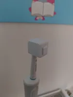 0.16mm layer, 2 walls, 15% infill