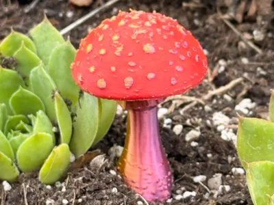 Magic Fly Agaric - Decorative Mushroom (2-Color AMS)