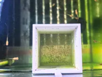 0.2mm 层高, 2 层墙, 15% 填充