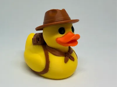 Outback Explorer Duck