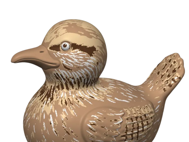 Cactus Wren Duck