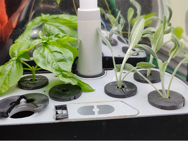 AeroGarden plant holder