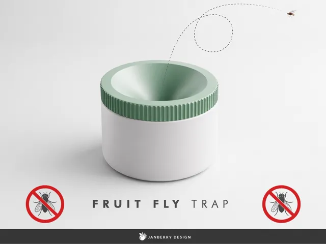 Decorative Fruit Fly Trap