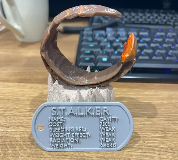 https://makerworld.bblmw.com/makerworld/model/US7d864c22cb9ef/design/2025-01-06_436b434d3af9a.jpg