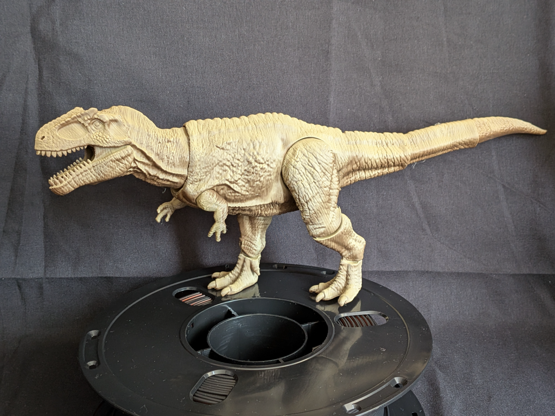Jointed Giganotosaurus 3D model