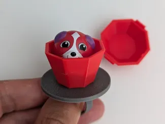 Pet Ring