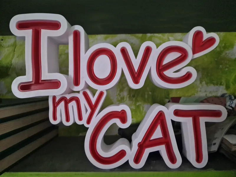 I love my cat