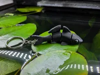 No-AMS Key-Chain0.2mm layer, 2 walls, 15% infill