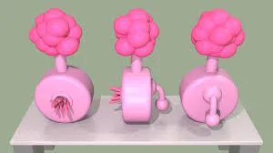 plumbus Rick & morty