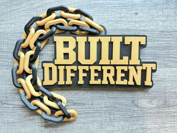 https://makerworld.bblmw.com/makerworld/model/US7d9a21b1296e30/design/2025-10-24_a4f423945c9848.jpg