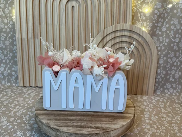https://makerworld.bblmw.com/makerworld/model/US7d9becf97a2a9d/design/1d008010dfd5aa20.jpg