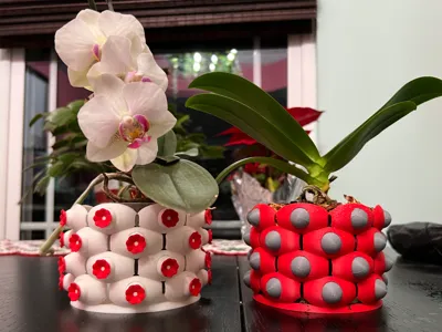 Orchid Planter with Charmbles System