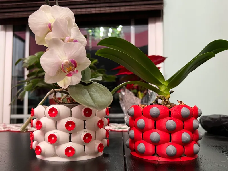 Orchid Planter with Charmbles System