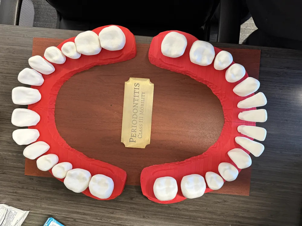 Tooth Clicker Stl Full Mouth Teeth Clickers by The Doro Dojo MakerWorld: Download Free 3D ...
