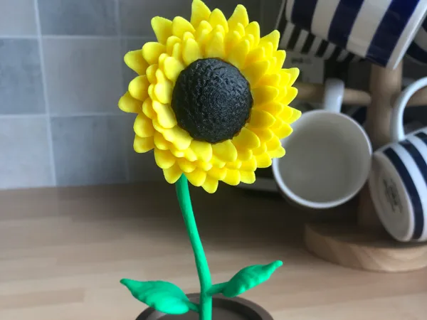 https://makerworld.bblmw.com/makerworld/model/US7da18d0020ec83/design/2025-05-30_cd52b8b1478f18.jpg