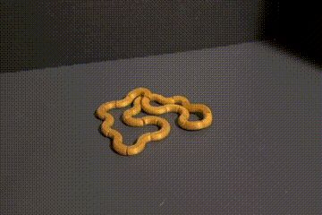 Infinty Loop Snake Fidget