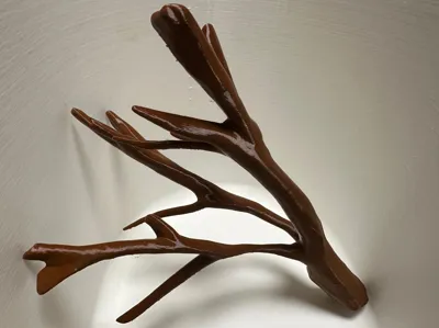 Aquarium Root