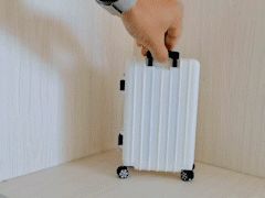 https://makerworld.bblmw.com/makerworld/model/US7dab6ec94df831/design/2024-12-21_fc0ae7032ae95.gif
