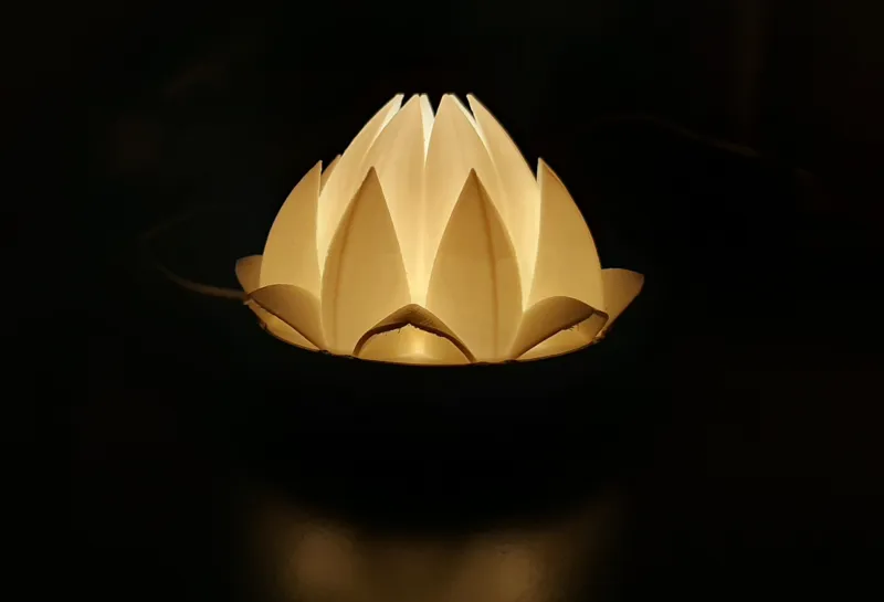Lotus flower fixture  - LED Kit 001