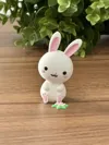 Cute Bunny