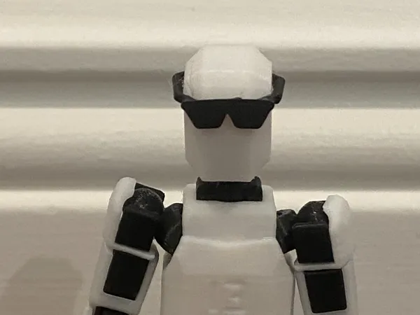 https://makerworld.bblmw.com/makerworld/model/US7db2d277bdc357/design/2024-11-06_45ad38a0ac59f.jpg