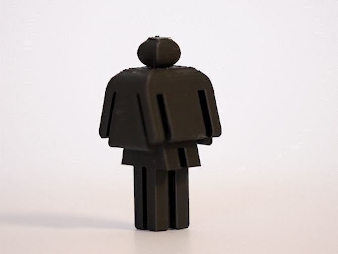 Dual Perspective Illusion – Man & Woman