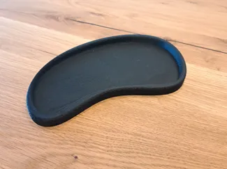 organic decor tray