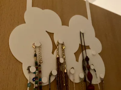 Organizer for Jewelery