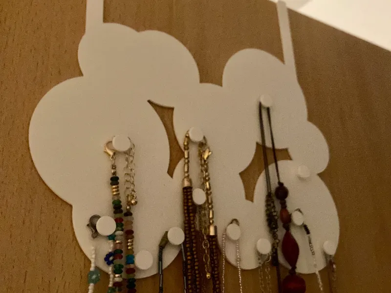 Organizer for Jewelery