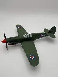 P-40_Army Markings