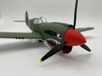 P-40_Two Colors