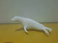 foca 20 GR 1 piatto