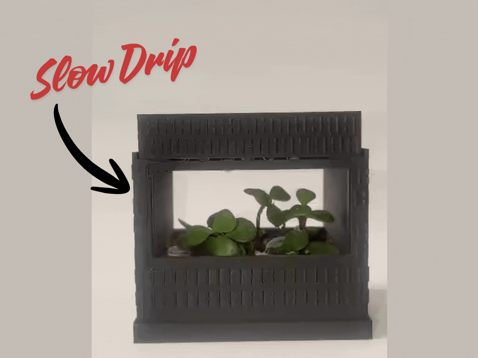 Miniatura 2 do modelo 3D RainNest – Rainfall Planter